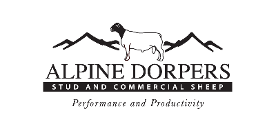 Alpine Dorpers